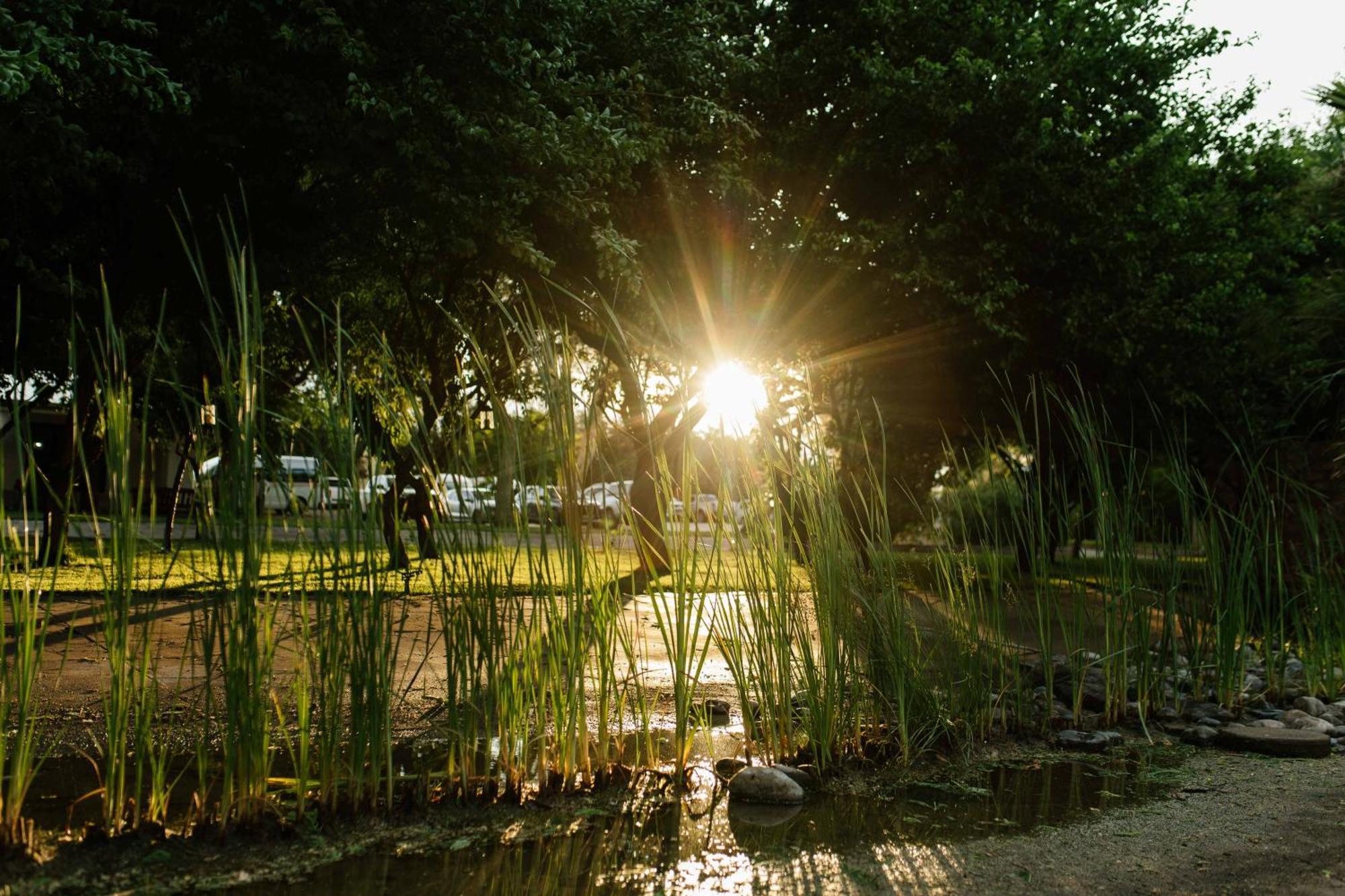 Upington African Vineyard Boutique Hotel & Spa Keimoes Zewnętrze zdjęcie