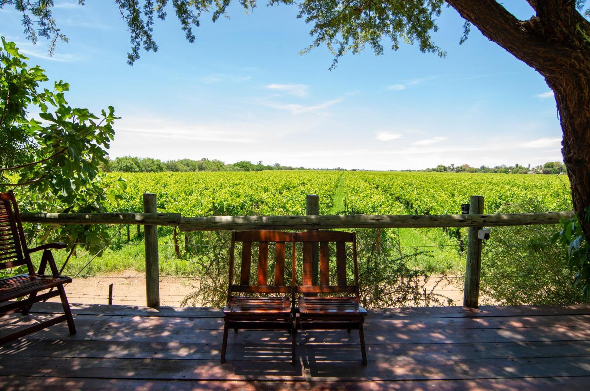 Upington African Vineyard Boutique Hotel & Spa Keimoes Zewnętrze zdjęcie